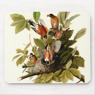 Mousepad Pássaro Americano Robin Wildlife