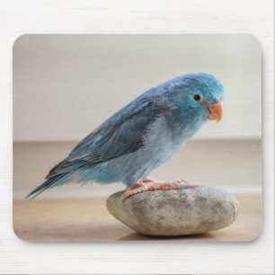 Mousepad Pássaro Azul