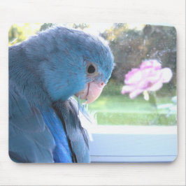 Mousepad Pássaro Azul de Parrotlet com mouse natural