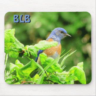 Mousepad Pássaro Azul no Arbusto de Saca-Rolhas seus Inicia