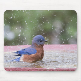 Mousepad Pássaro-azul no Birdbath