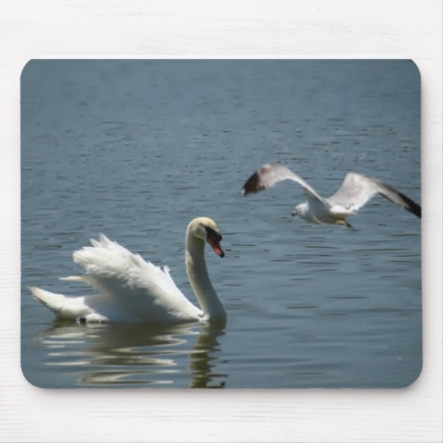 Mousepad Pássaro Brincando com Cisne (Frente)