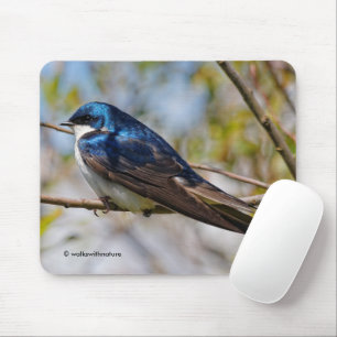 Mousepad Pássaro Canoro Andorinha-das-Árvores Deslumbrante