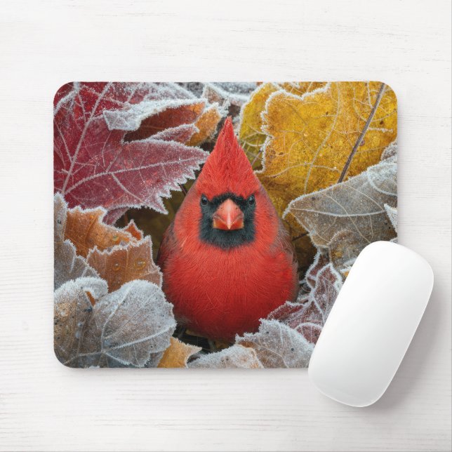Mousepad Pássaro Cardinal Vermelho em Folhas de Outono Cong (Com mouse)