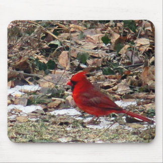 Mousepad Pássaro cardinal vermelho nas folhas