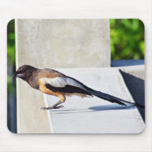 Mousepad Pássaro Cortado (Frente)