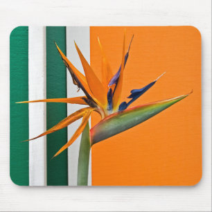 Mousepad Pássaro da Flor do Paraíso