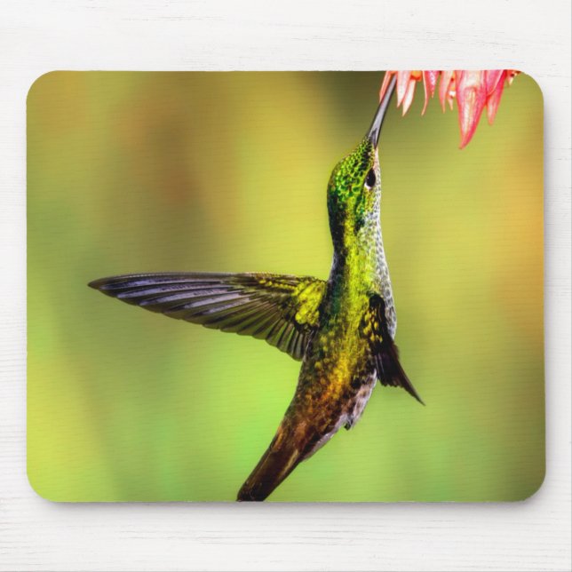 Mousepad Pássaro da Flor Rosa do Hummingbird (Frente)