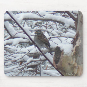 Mousepad Pássaro da Neve