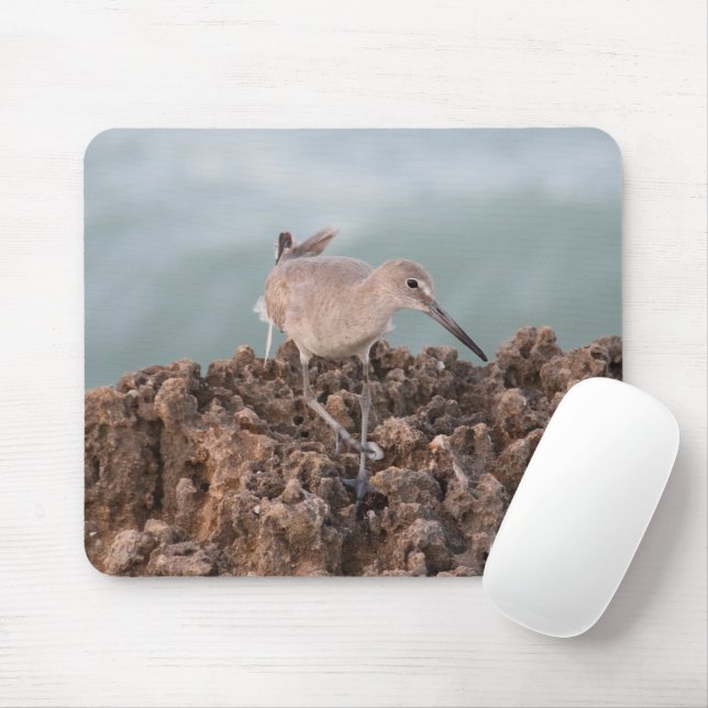 Mousepad Pássaro da praia com fundo verde-oceânico do mar (Com mouse)