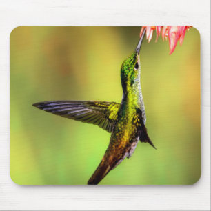 Mousepad Pássaro de Flor Rosa