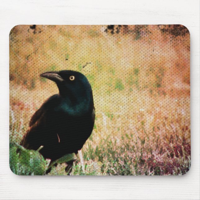 Mousepad Pássaro de Grackle (Frente)