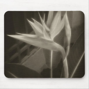 Mousepad Pássaro de paraíso Antiqued 10