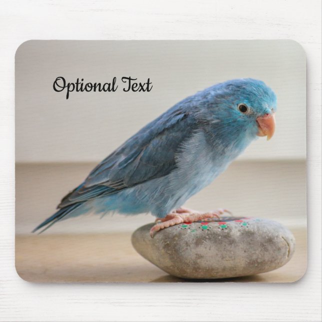 Mousepad Pássaro de Parrotlet Azul Personalizado (Frente)