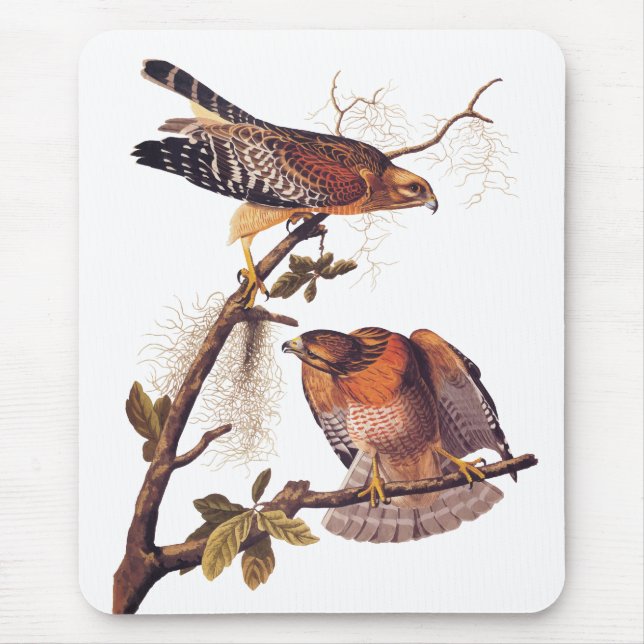 Mousepad Pássaro de Preia ruivo Hawk Audubon (Frente)