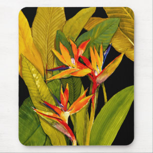 Mousepad Pássaro do Paraíso