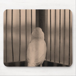 Mousepad Pássaro, gaiola, bares