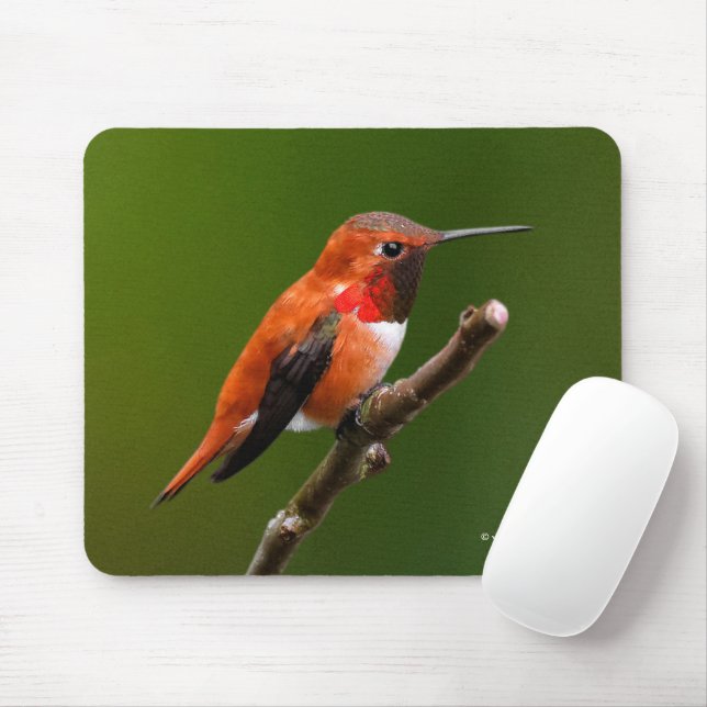Mousepad Pássaro Hummingave Rufo e Atormentante na Árvore C (Com mouse)