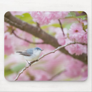 Mousepad Pássaro na Árvore do Flor