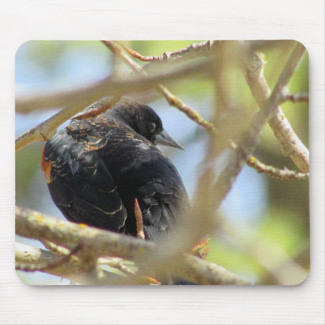 Mousepad Pássaro Negro Alado Laranja (Frente)
