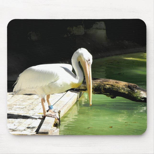 Mousepad Pássaro pelicano (Frente)