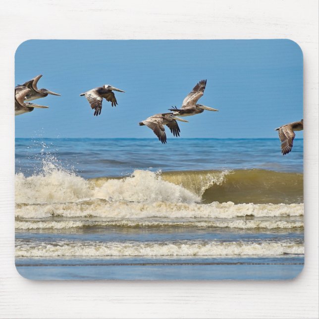 Mousepad Pássaro, pelicano castanho, vida selvagem (Frente)