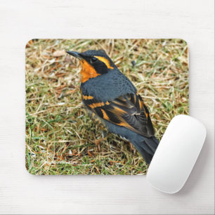 Mousepad Pássaro Turco Variado Atormentante na Grama