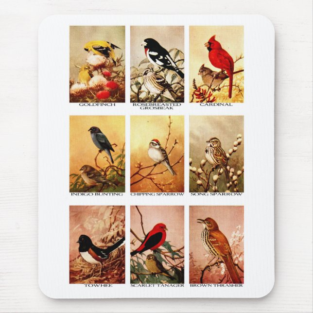 Mousepad Pássaros (Frente)
