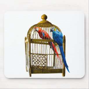 Mousepad Pássaros Caiola de Papagaio Bloqueou Prisão Liberd