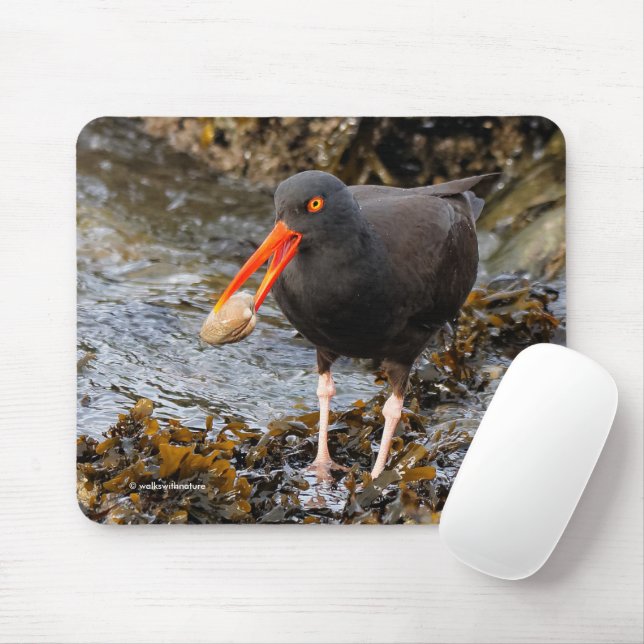 Mousepad Pássaros-da-praia de Oystercatcher Negro (Com mouse)