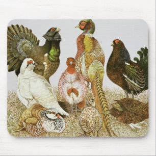 Mousepad Pássaros de jogo