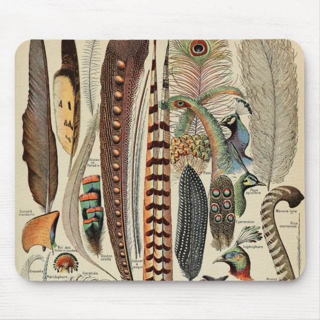 Mousepad Pássaros de Penas Silvestres Antigas Penas (Frente)