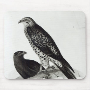 Mousepad Pássaros de rapina