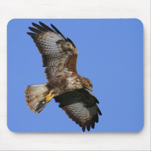 Mousepad Pássaros de rapina Mousemats