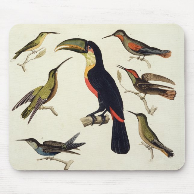 Mousepad Pássaros nativos, incluindo o Toucan (centro), (Frente)