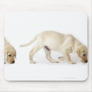 Mousepad Passeio do filhote de cachorro de labrador