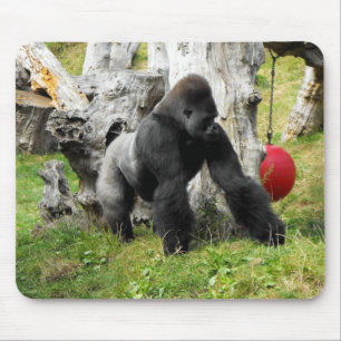 Mousepad Passeio do gorila do silverback da planície