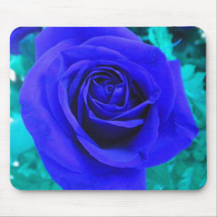 Mousepad Pasta azul do mouse Rosa2