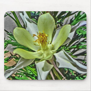Mousepad Pasta de flores brancas de columbina