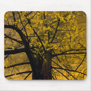 Mousepad Pasta de Mouse Pintar Árvore Amarela