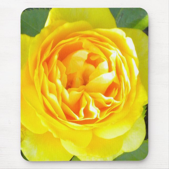 Mousepad Pasta de mouse rosa amarela (Frente)