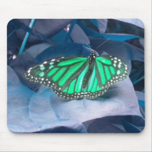 Mousepad Pasta de rato da Borboleta Verde Monarca
