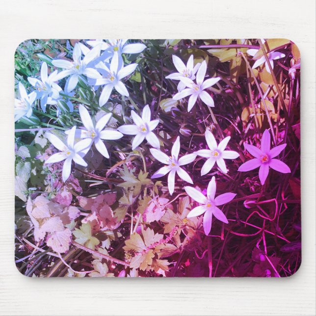 Mousepad Pasta de rato de flor branca (Frente)