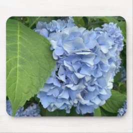 Mousepad Pasta de rato de Hydrangea (Hydrangea macrophylla)