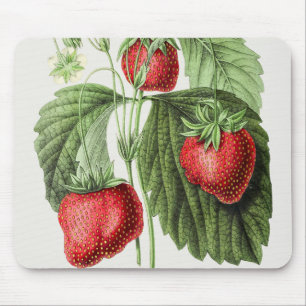 Mousepad Pasta de rato de morango de vindima