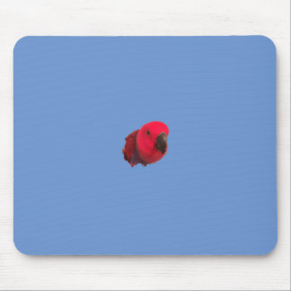 Mousepad Pasta de rato de papagaio