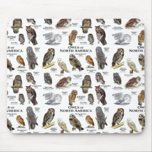 Mousepad Pasta de rato "OWL'S of North America"