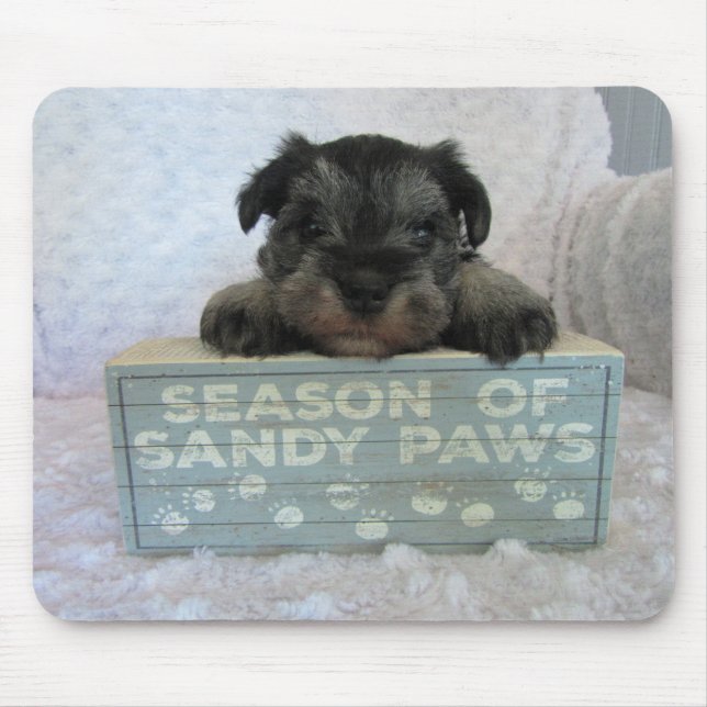 Mousepad Pasta de rato Schnauzer Puppy (Frente)