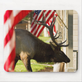 Mousepad Pasta do mouse Bull Elk Patriotic