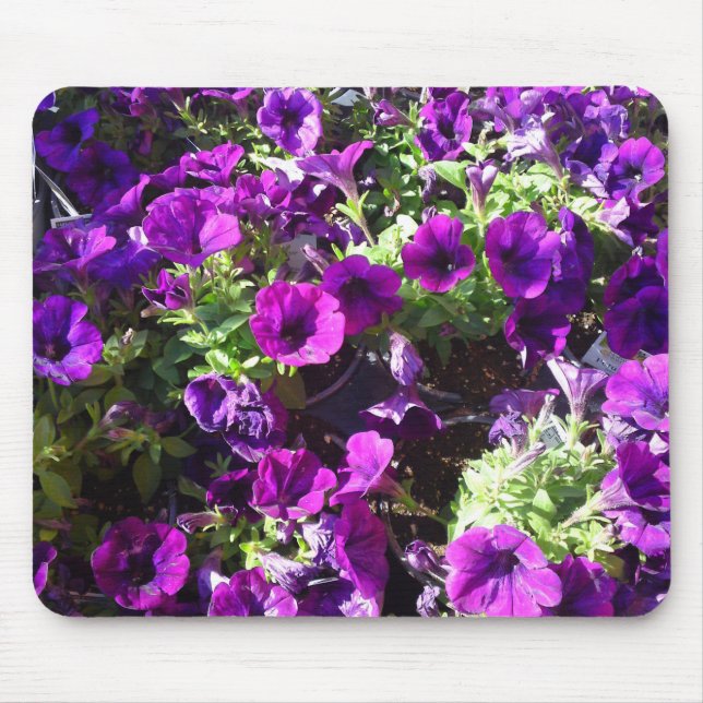 Mousepad Pasta do mouse da Flor de Petunia Roxa (Frente)